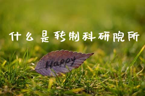 什么是转制科研院所_https://m.letulww.com_期货交易软件_第1张