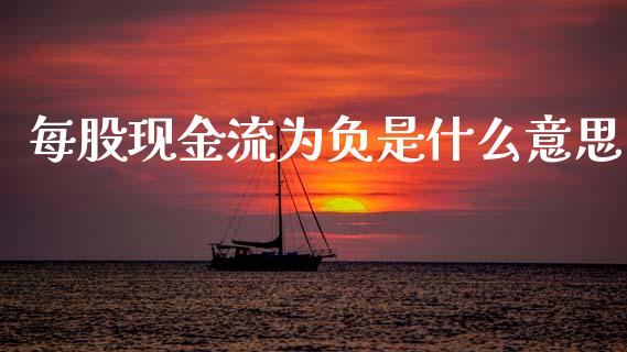 每股现金流为负是什么意思_https://m.letulww.com_期货交易软件_第1张