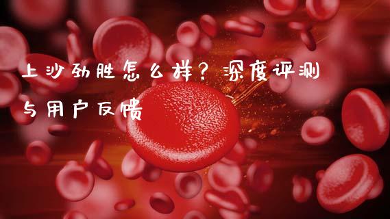 上沙劲胜怎么样？深度评测与用户反馈_https://m.letulww.com_期货开户保证金_第1张