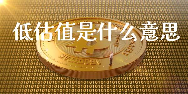 低估值是什么意思_https://m.letulww.com_期货开户保证金_第1张