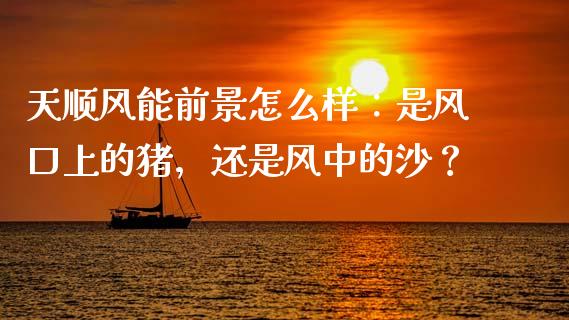 天顺风能前景怎么样：是风口上的猪，还是风中的沙？_https://m.letulww.com_期货交易软件_第1张