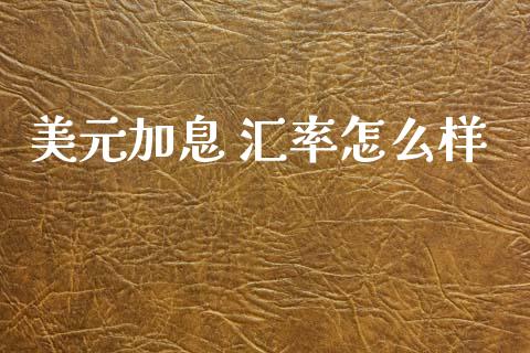 美元加息 汇率怎么样_https://m.letulww.com_期货交易软件_第1张