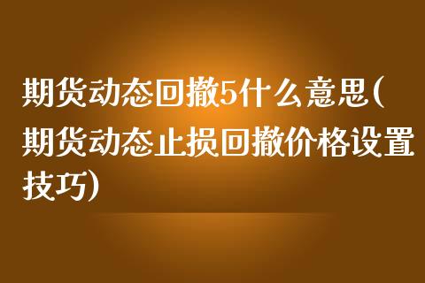期货动态回撤5什么意思(期货动态止损回撤价格设置技巧)_https://m.letulww.com_期货交易软件_第1张