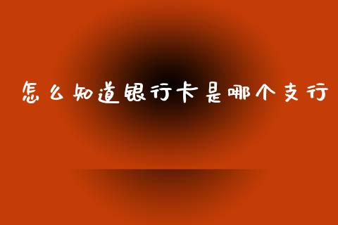 怎么知道银行卡是哪个支行_https://m.letulww.com_期货开户保证金_第1张