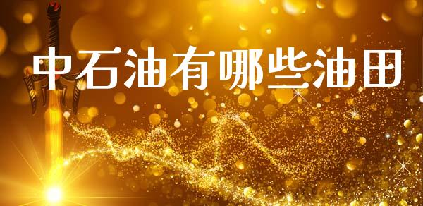 中石油有哪些油田_https://m.letulww.com_期货交易策略_第1张