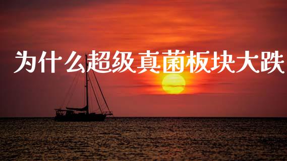 为什么超级真菌板块大跌_https://m.letulww.com_期货交易软件_第1张