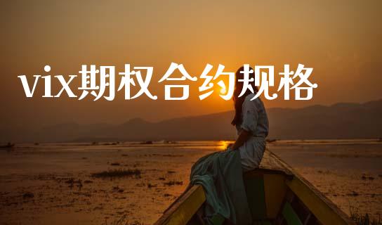 vix期权合约规格_https://m.letulww.com_期货开户保证金_第1张