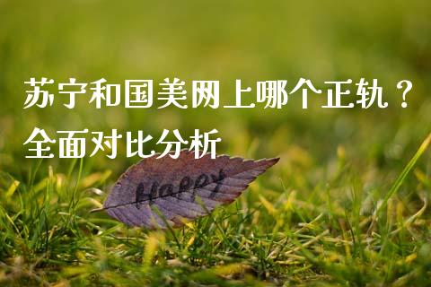 苏宁和国美网上哪个正轨？全面对比分析_https://m.letulww.com_期货交易策略_第1张