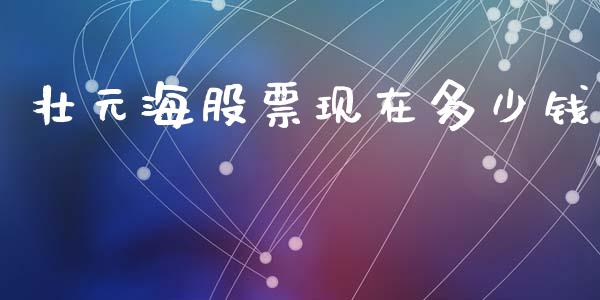 壮元海股票现在多少钱_https://m.letulww.com_期货开户保证金_第1张