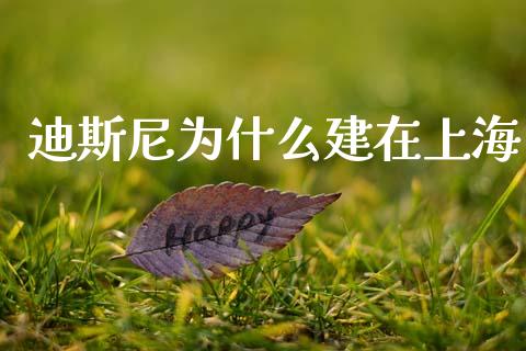 迪斯尼为什么建在上海_https://m.letulww.com_期货交易软件_第1张