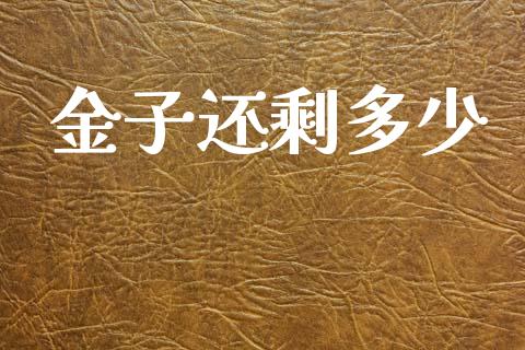 金子还剩多少_https://m.letulww.com_期货交易软件_第1张