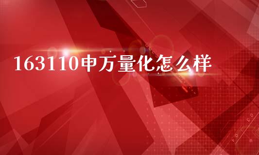 163110申万量化怎么样_https://m.letulww.com_期货开户保证金_第1张