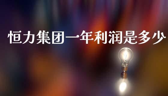 恒力集团一年利润是多少_https://m.letulww.com_期货开户保证金_第1张