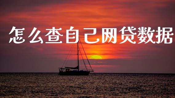 怎么查自己网贷数据_https://m.letulww.com_期货交易软件_第1张