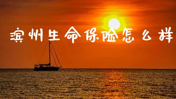 滨州生命保险怎么样_https://m.letulww.com_股指期货交易时间_第1张