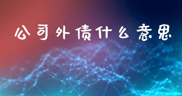 公司外债什么意思_https://m.letulww.com_期货开户保证金_第1张