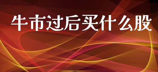 牛市过后买什么股_https://m.letulww.com_期货开户保证金_第1张