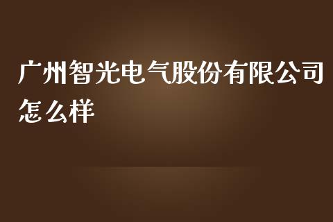 广州智光电气股份有限公司怎么样_https://m.letulww.com_股指期货交易时间_第1张