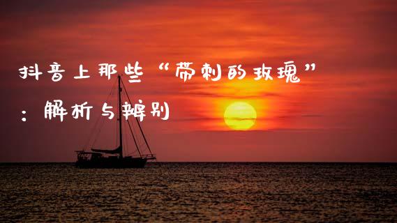 抖音上那些“带刺的玫瑰”：解析与辨别_https://m.letulww.com_期货开户保证金_第1张