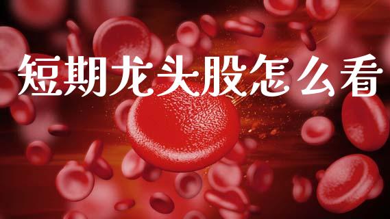 短期龙头股怎么看_https://m.letulww.com_期货交易策略_第1张