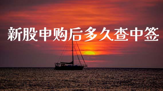 新股申购后多久查中签_https://m.letulww.com_期货交易软件_第1张