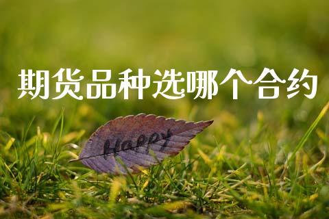 期货品种选哪个合约_https://m.letulww.com_股指期货交易时间_第1张