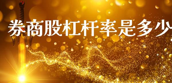 券商股杠杆率是多少_https://m.letulww.com_股指期货交易时间_第1张