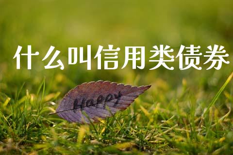 什么叫信用类债券_https://m.letulww.com_期货开户保证金_第1张