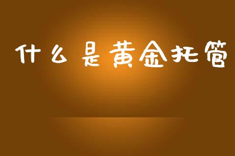 什么是黄金托管_https://m.letulww.com_期货交易软件_第1张