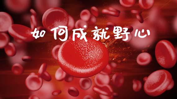 如何成就野心_https://m.letulww.com_期货交易策略_第1张