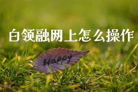白领融网上怎么操作_https://m.letulww.com_期货交易软件_第1张