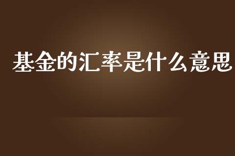 基金的汇率是什么意思_https://m.letulww.com_期货交易软件_第1张