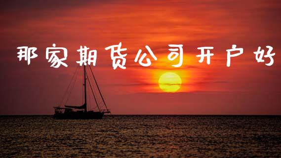 那家期货公司开户好_https://m.letulww.com_期货开户保证金_第1张