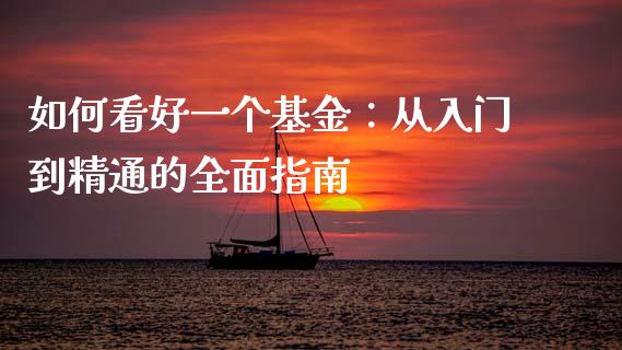 如何看好一个基金：从入门到精通的全面指南_https://m.letulww.com_股指期货交易时间_第1张