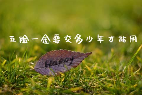 五险一金要交多少年才能用_https://m.letulww.com_期货交易策略_第1张