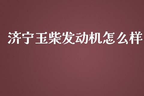 济宁玉柴发动机怎么样_https://m.letulww.com_期货开户保证金_第1张