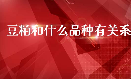 豆粕和什么品种有关系_https://m.letulww.com_期货交易策略_第1张