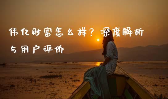 伟亿财富怎么样？深度解析与用户评价_https://m.letulww.com_股指期货交易时间_第1张