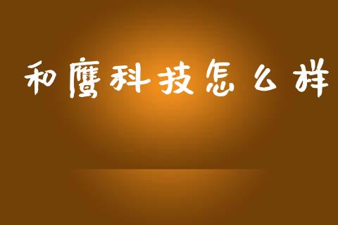 和鹰科技怎么样_https://m.letulww.com_期货开户保证金_第1张