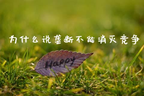 为什么说垄断不能消灭竞争_https://m.letulww.com_股指期货交易时间_第1张