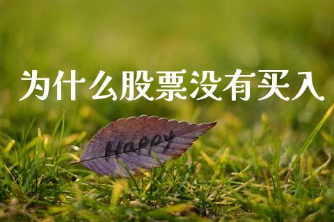 为什么股票没有买入_https://m.letulww.com_期货交易软件_第1张