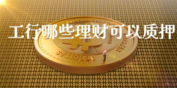 工行哪些理财可以质押_https://m.letulww.com_期货交易软件_第1张