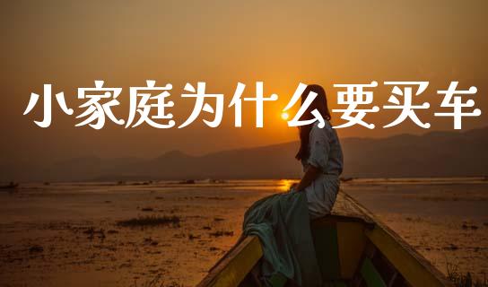 小家庭为什么要买车_https://m.letulww.com_期货交易策略_第1张