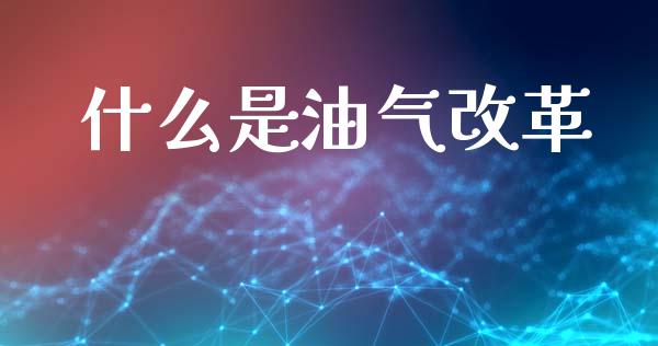 什么是油气改革_https://m.letulww.com_期货开户保证金_第1张