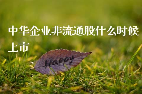 中华企业非流通股什么时候上市_https://m.letulww.com_期货交易策略_第1张