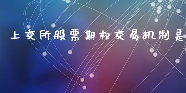 上交所股票期权交易机制是_https://m.letulww.com_期货交易策略_第1张