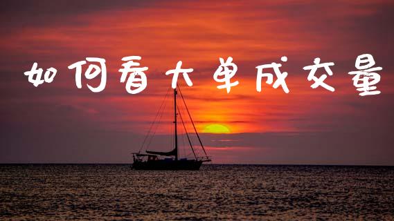 如何看大单成交量_https://m.letulww.com_股指期货交易时间_第1张