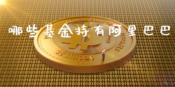 哪些基金持有阿里巴巴_https://m.letulww.com_期货交易软件_第1张