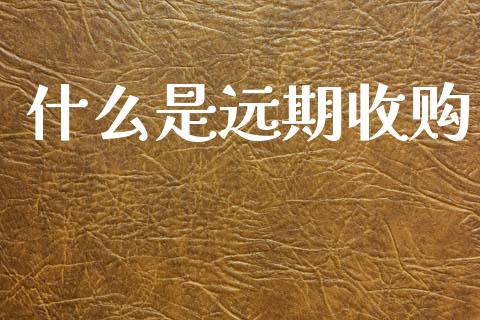 什么是远期收购_https://m.letulww.com_股指期货交易时间_第1张