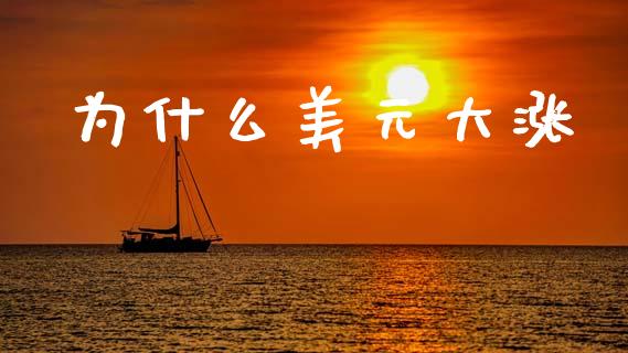 为什么美元大涨_https://m.letulww.com_期货交易软件_第1张